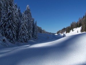 Richtung Biathlonzentrum